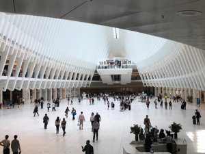Oculus Oculus