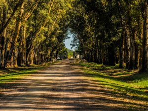 Informarse y visitar barrios para irse a vivir “al verde” Informarse y visitar barrios para irse a vivir “al verde”