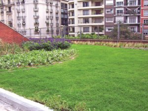 Cubiertas verdes, construcciones sustentables Cubiertas verdes, construcciones sustentables