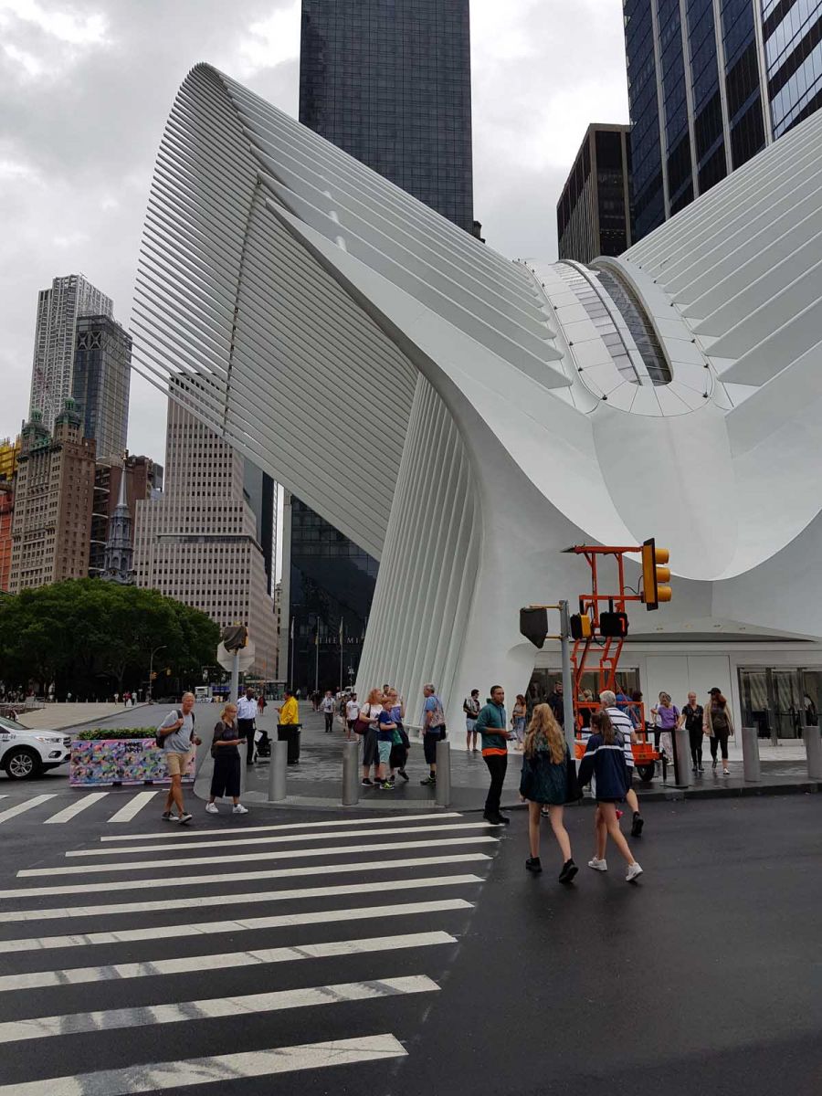 Oculus