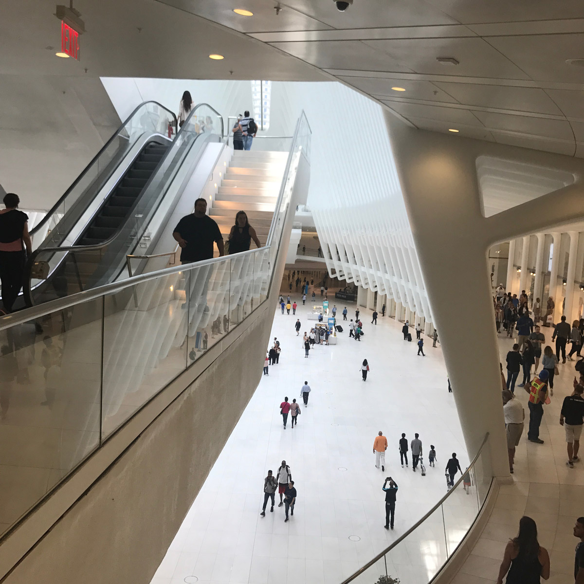 Oculus