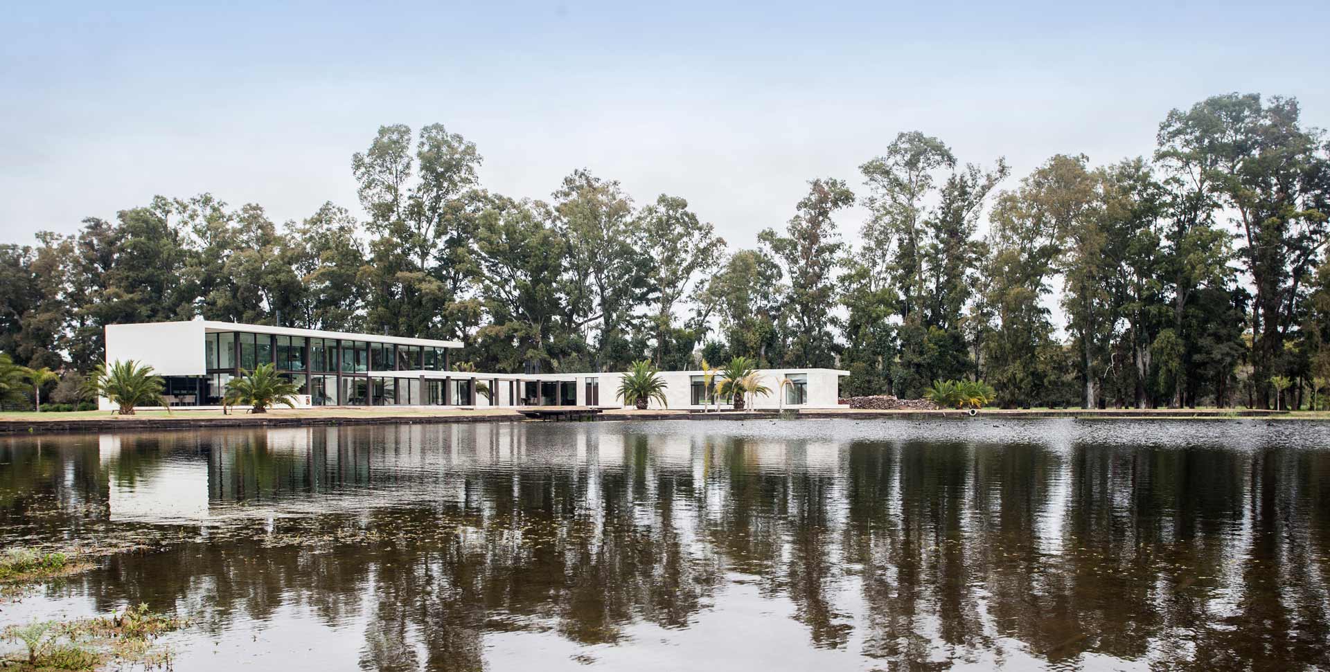 OON Architecture
