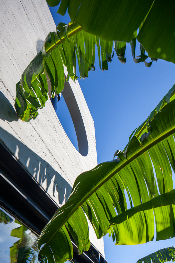 OON Architecture