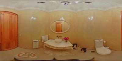 Toilette